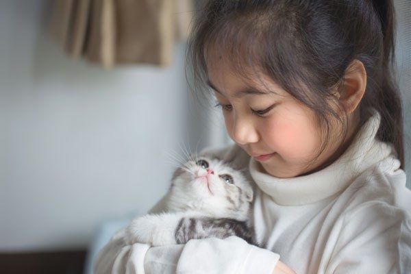 猫のゴロゴロの秘密　猫の気持ちに迫る！