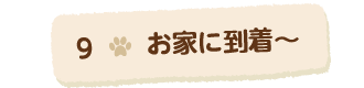 9お家に到着〜