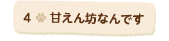 4甘えん坊なんです