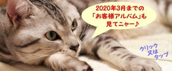 2020.3お客様アルバム