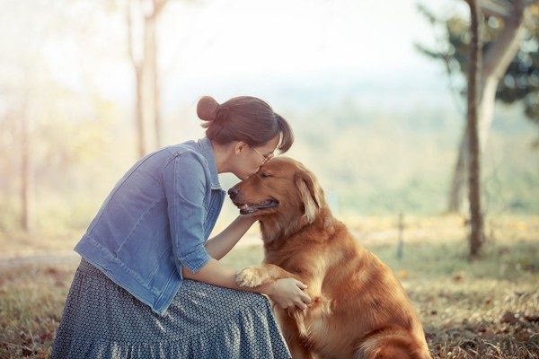 犬の体を触ろう！スキンシップを嫌がらない犬にするコツ