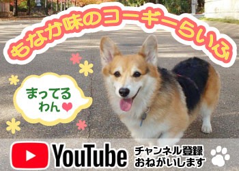 もなか味のコーギーらいふ