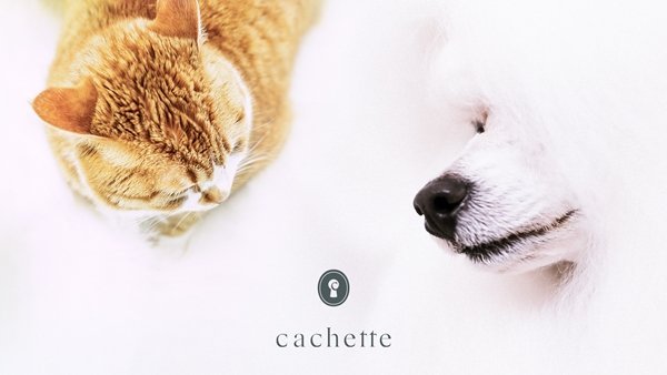 cachette