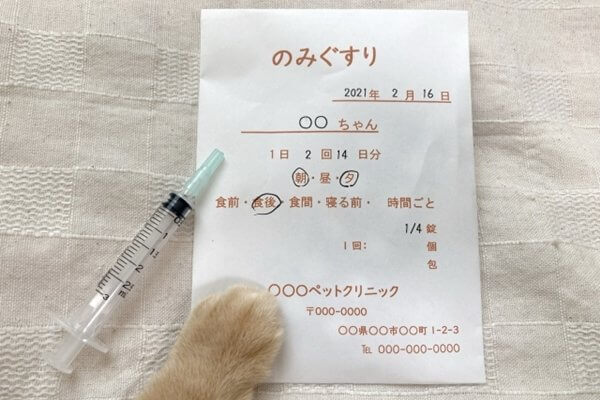 猫に薬を飲ませるコツとは？