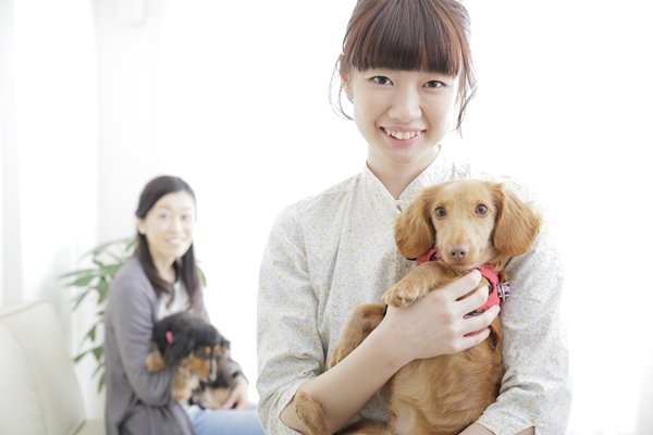 犬を抱っこに慣れさせよう！診察や緊急時も安心