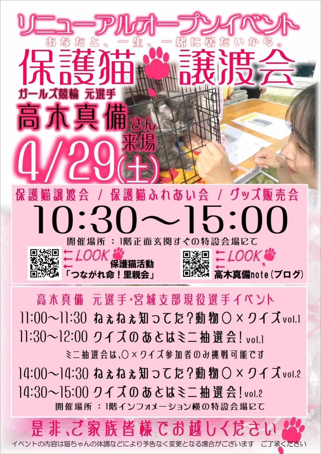 岩沼】村田での里親募集会🐱【ペットシッター】 | モモトセ／日本