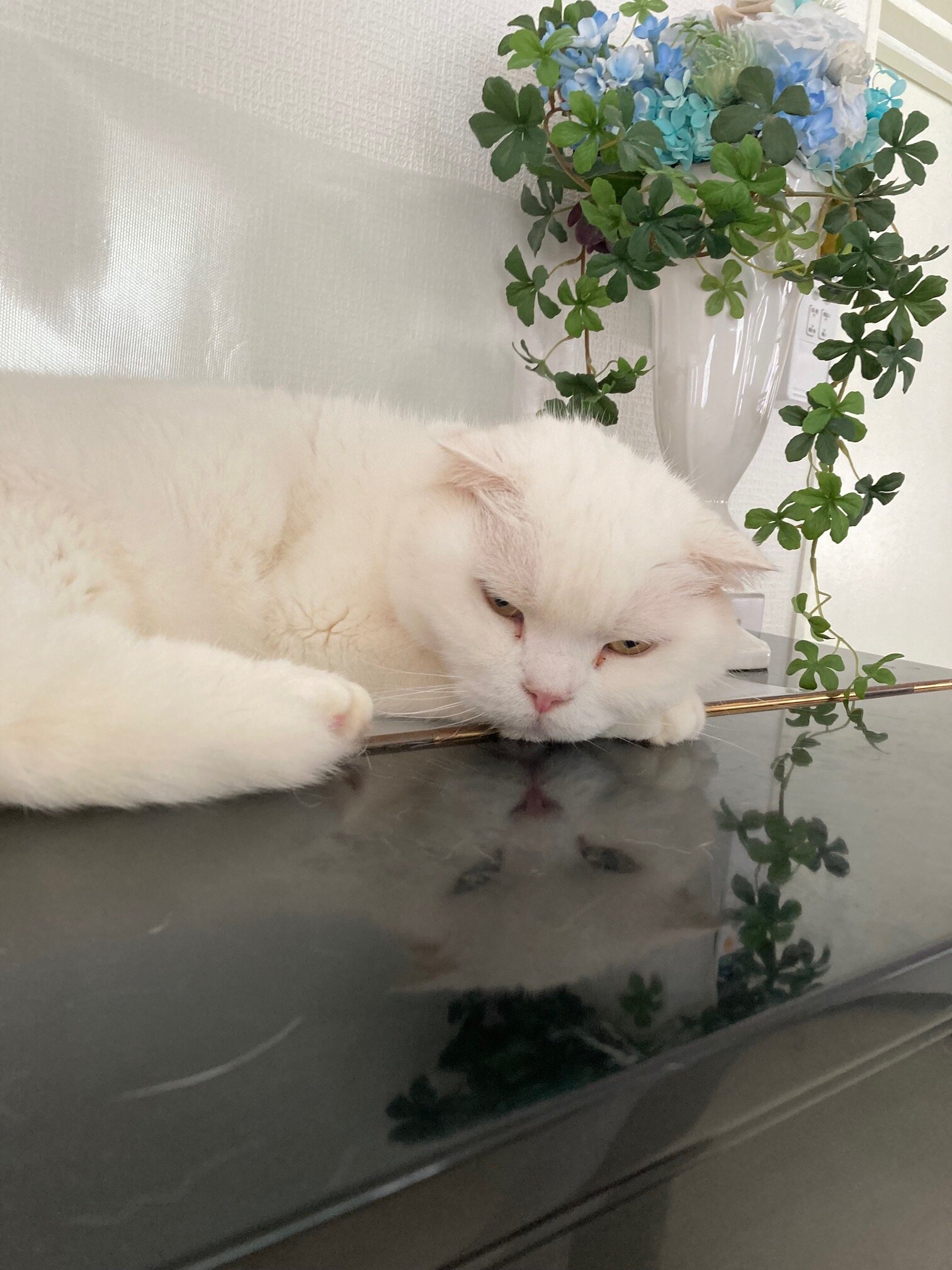 じゃれねこちゃん・ぐでねこちゃんチャーム 金魚×向日葵×スイカ×アイス