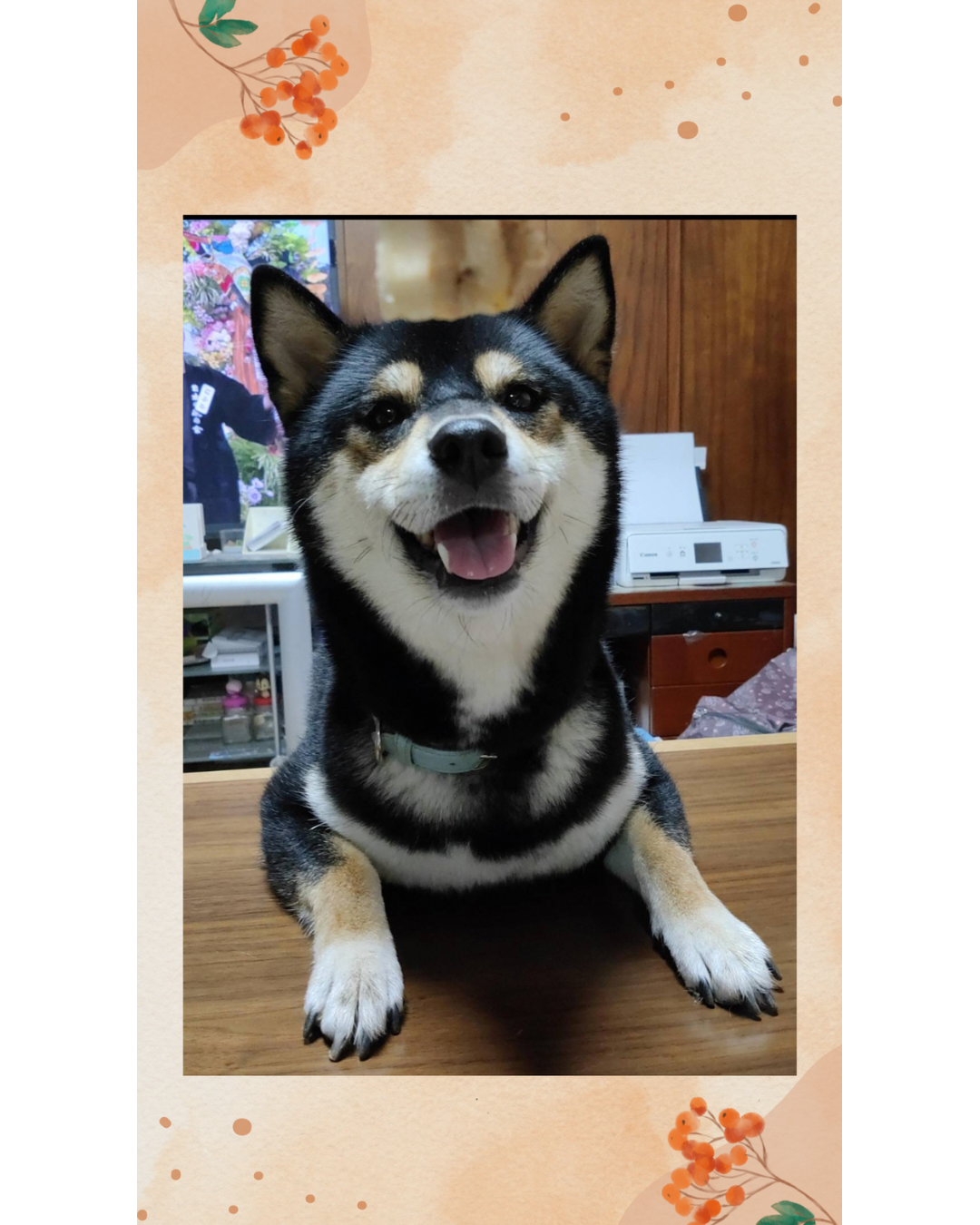 259291dbe5343002de28c9b8018040