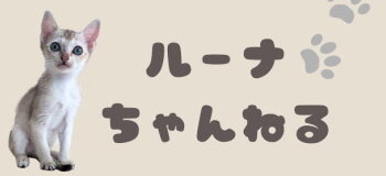 ルーナちゃんねる