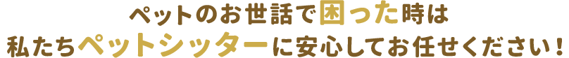 ペットのお世話で困った時は私たちペットシッターに安心してお任せください！