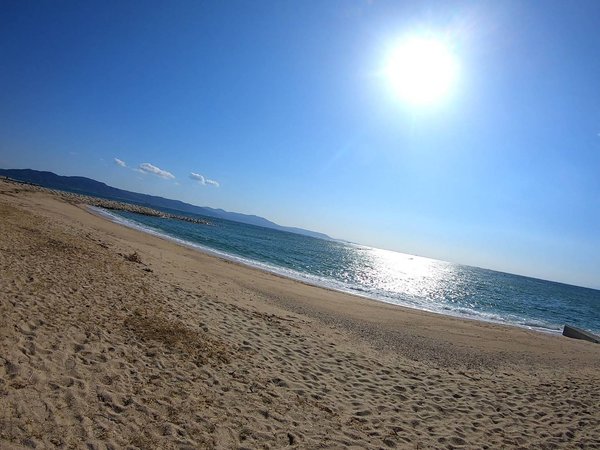 神戸市 明石市のペットシッターamoのブログ 5ページ目 Amo 日本ペットシッターサービス神戸西店 神戸市 明石市 加古川市 神戸市 明石市のペットシッターamoのブログ 5ページ目 Amo 日本ペットシッターサービス神戸西店 神戸市 明石市 加古川市