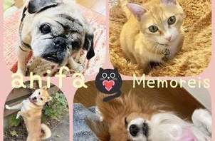 お客様アルバム　Memories