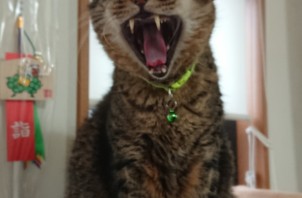 シルバーウィークの予約状況について