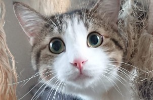 9月のご予約状況について