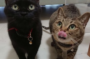 年末年末の予約状況について