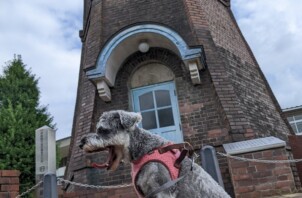 伊勢崎市　犬のペットシッター