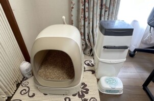 愛猫の粗相は何かを訴えてるかも・・・
