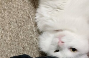 お出かけシーズン到来🌸【福山市】