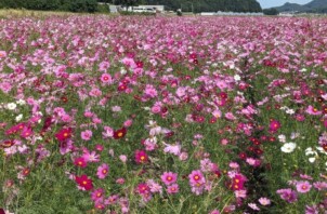 秋の行楽シーズン到来🍂【広島店】
