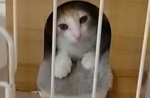 よく遊び元気♪