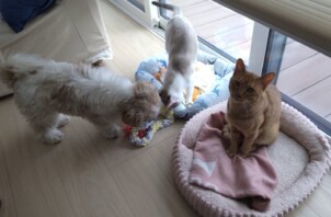 すくすく成長日記
