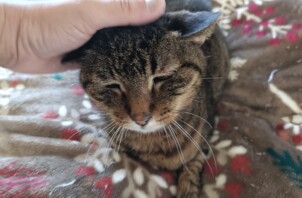 チィちゃんとメイちゃん
