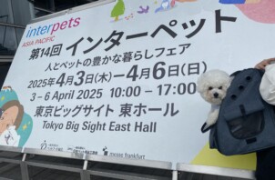 インターペット2025🐾💖