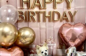 愛犬のお誕生日🎂💓´-