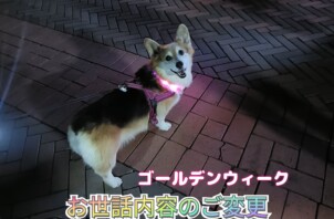 お世話内容の変更点