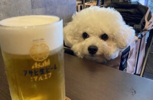 ペット可のお店へ🐶✨