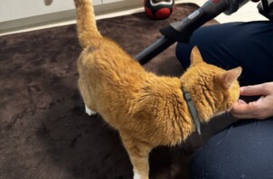 レナちゃん打ち合わせ😸(品川区)
