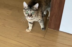 優しい家族