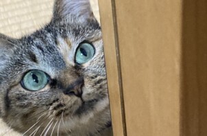 さーちゃん