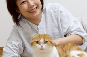 テスト