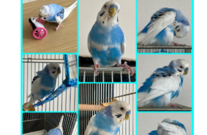 インスタより引用です