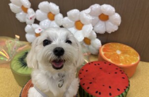 はじめまして！