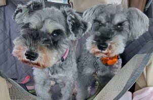 ＊＊＊年末年始のお知らせ＊＊＊