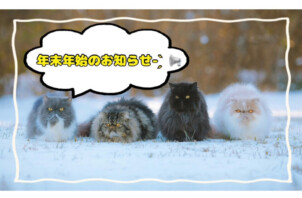 年末年始のお知らせ⛄️