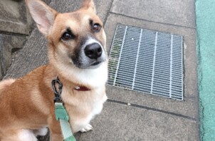 オリーブくんとマルくん