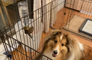 青葉区　青葉台　ウリくん