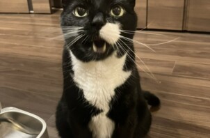 【お世話報告】🐾お茶目で優しいオスカーちゃん✨