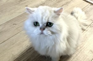 【お世話報告】🐾甘えんぼモードのドナちゃん🍀