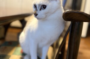 ごはんを食べてくれる姿に感激！！