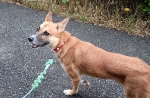 オリーブくんとマルくん