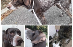 パワー全開！その２（東近江市）