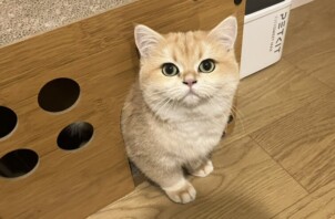 【お世話報告】甘えん坊と優しさの見守り隊に癒されて！✨