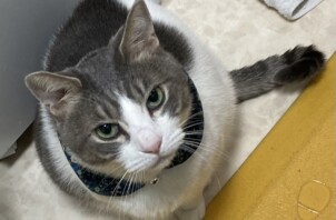 世楽くん、美幸ちゃん