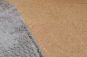 お世話風景３１．トラッキー君こごみちゃん