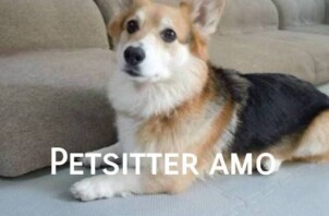 【再投稿】宅配や書留のお受け取りについて