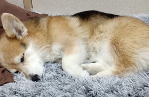 今回の経験での思い